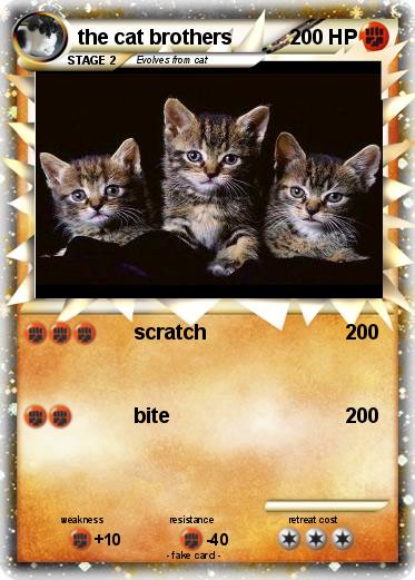 Pokemon the cat brothers