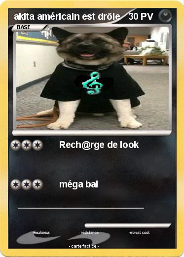Pokemon akita américain est drôle
