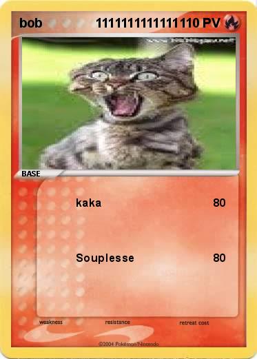 Pokemon bob               1111111111111