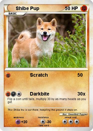 Pokemon Shibe Pup