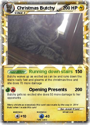 Pokemon Christmas Butchy
