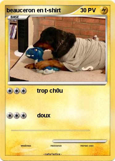 Pokemon beauceron en t-shirt