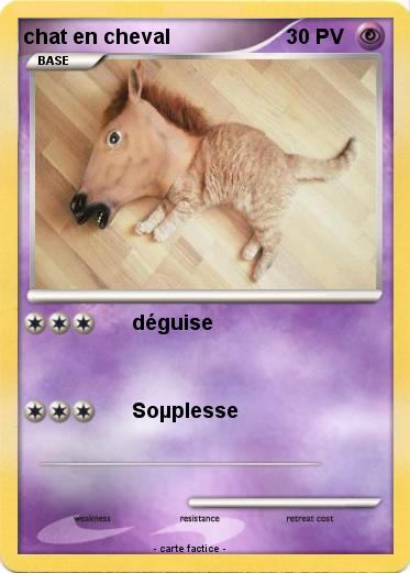 Pokemon chat en cheval