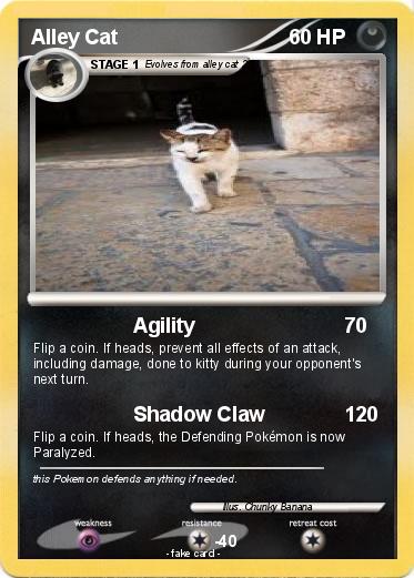 Pokemon Alley Cat