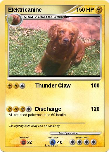 Pokemon Elektricanine
