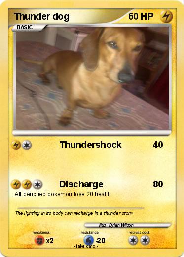 Pokemon Thunder dog