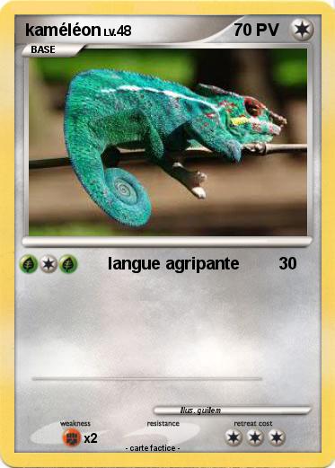 Pokemon kaméléon