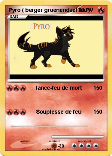 Pokemon Pyro ( berger groenendael feu )