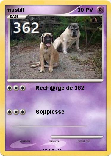 Pokemon mastiff