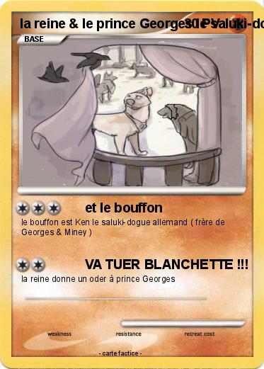 Pokemon la reine & le prince Georges le saluki-dogue allemand