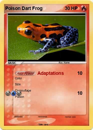 Pokemon Poison Dart Frog