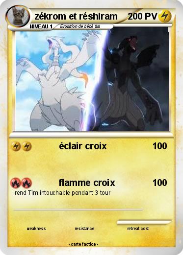 Pokemon zékrom et réshiram