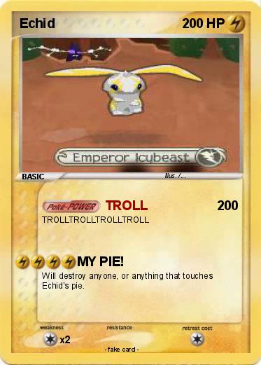Pokemon Echid