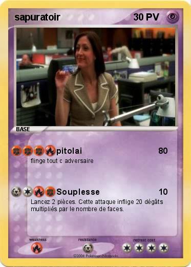Pokemon sapuratoir