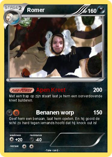 Pokemon Romer