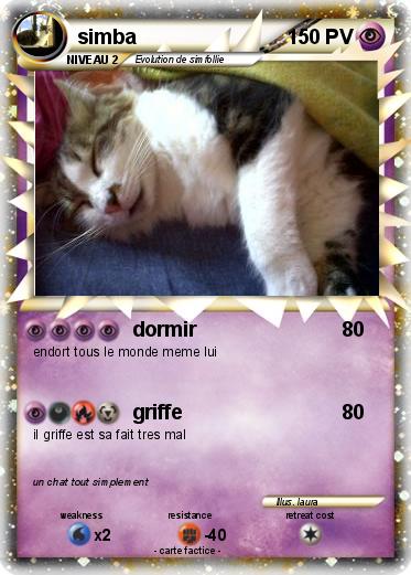 Pokemon simba