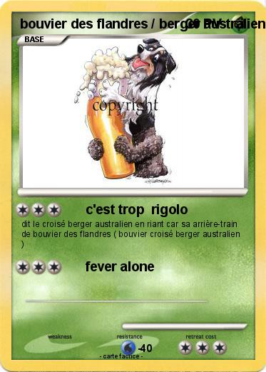 Pokemon bouvier des flandres / berger australien