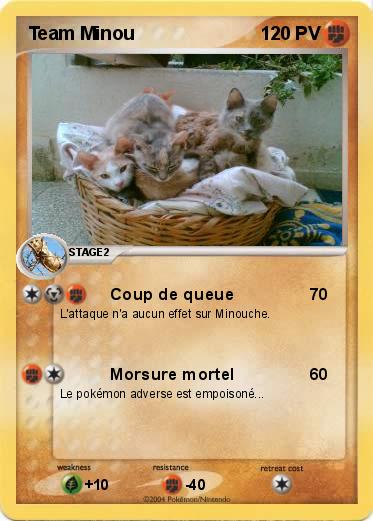 Pokemon Team Minou