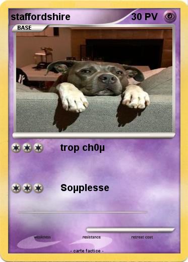 Pokemon staffordshire
