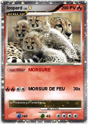 Pokemon leopard