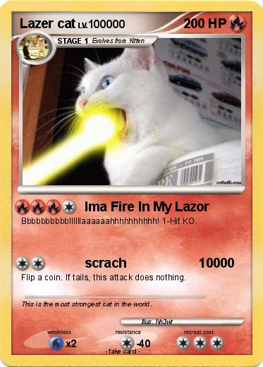 Pokemon Lazer cat
