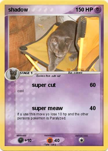 Pokemon shadow