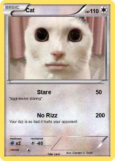 Pokemon Cat