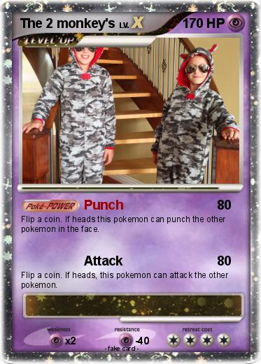 Pokemon The 2 monkey's