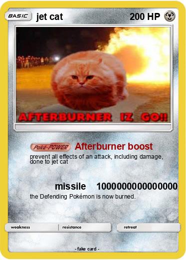 Pokemon jet cat