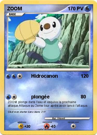 Pokemon ZOOM