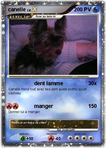Pokemon canelle