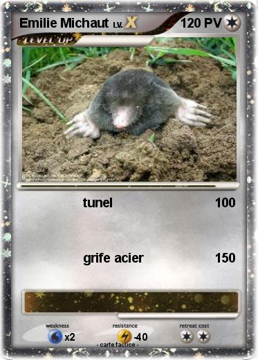 Pokemon Emilie Michaut