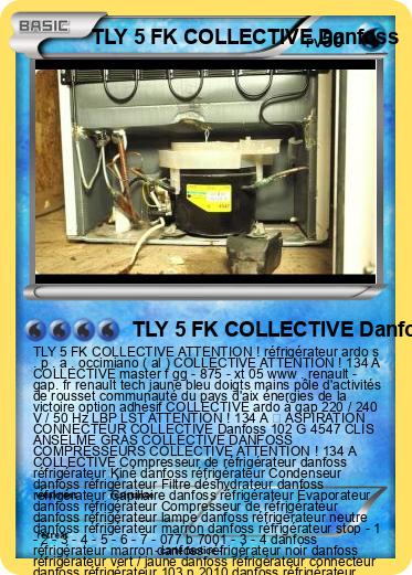 Pokemon TLY 5 FK COLLECTIVE Danfoss