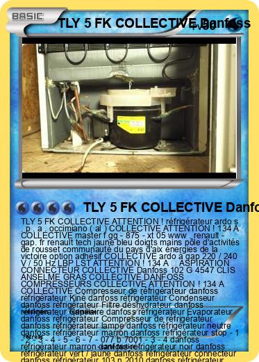 Pokemon TLY 5 FK COLLECTIVE Danfoss