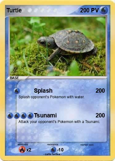 Pokemon Turtle