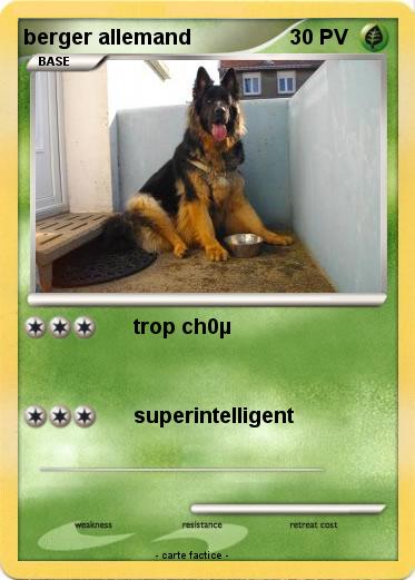 Pokemon berger allemand