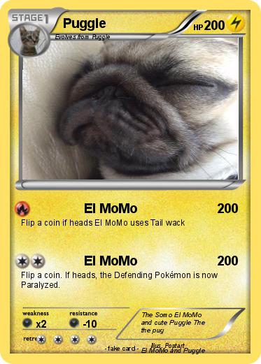 Pokemon Puggle