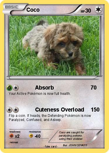 Pokemon Coco