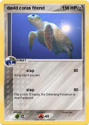 Pokemon david coras friend