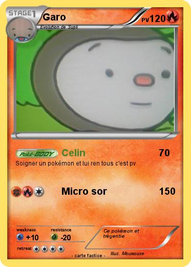 Pokemon Garo