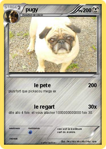 Pokemon pugy