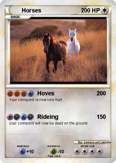 Pokemon Horses
