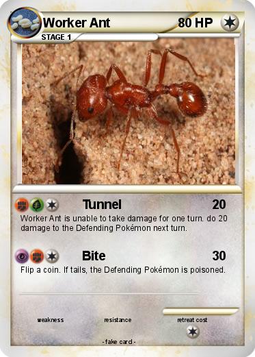 Pokemon Worker Ant