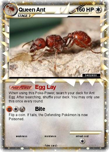 Pokemon Queen Ant