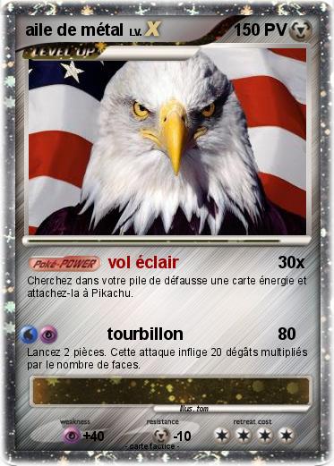 Pokemon aile de métal