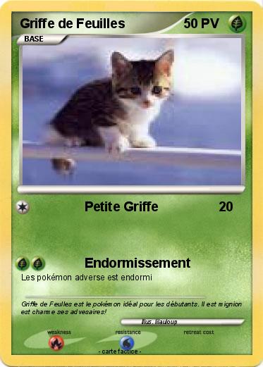 Pokemon Griffe de Feuilles