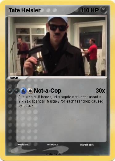 Pokemon Tate Heisler