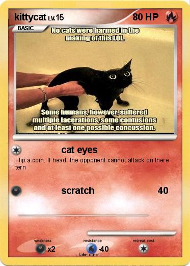 Pokemon kittycat