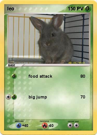 Pokemon leo