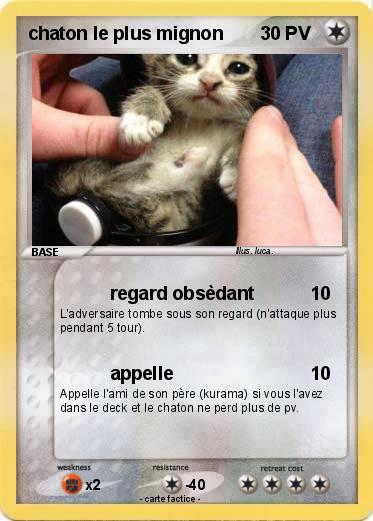 Pokemon chaton le plus mignon